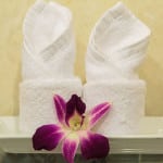 Deluxe-B7-Bathroom-4