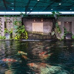 Koi pond at Dara Drug and Alcohol rehabilitation centre, Chanthaburi, Thailand