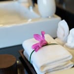 Suite-A2-bathroom-5