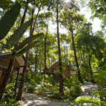 gallery-03