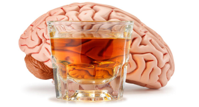 alcohol and your brain